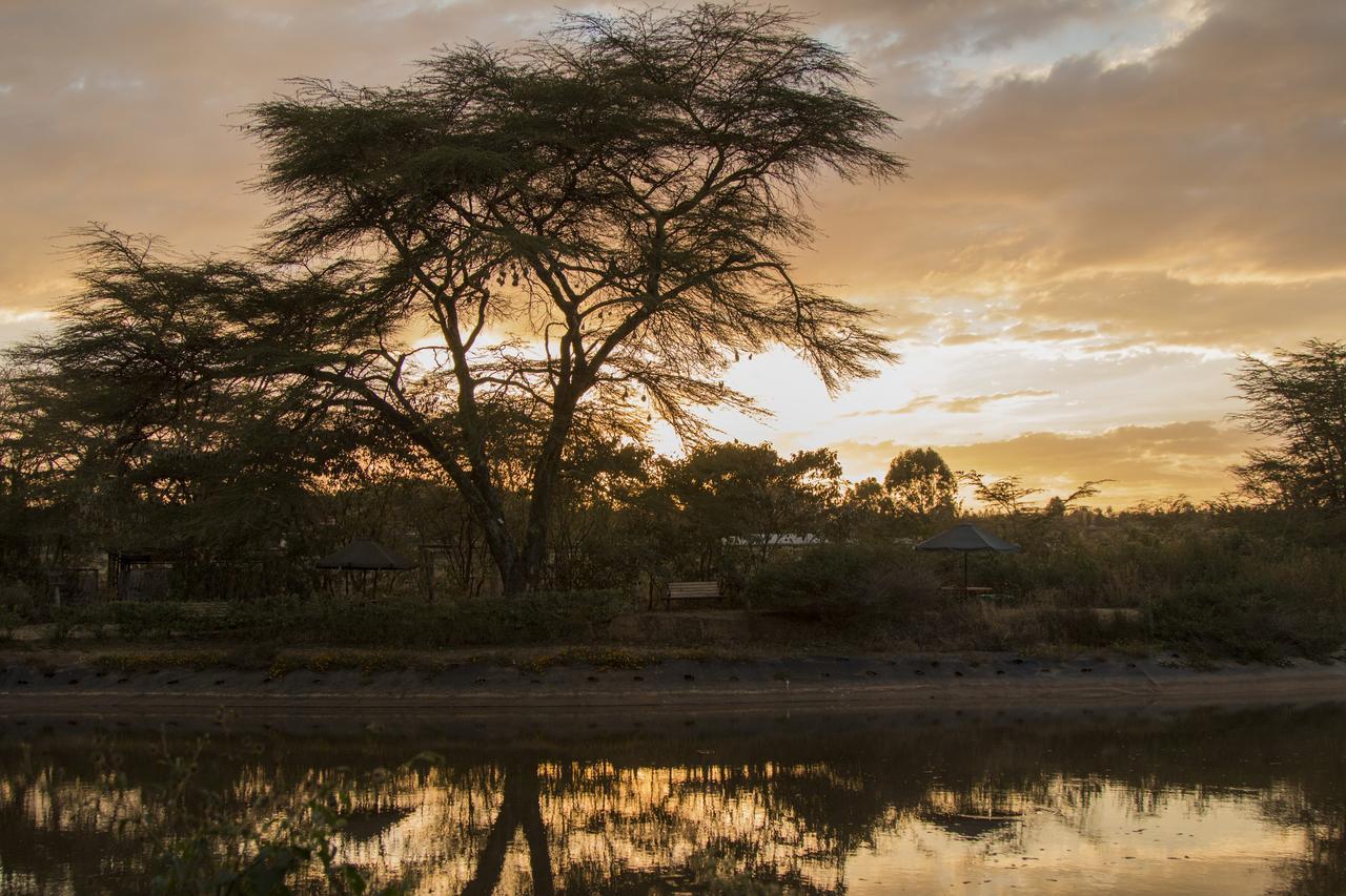 Ziwa Bush Lodge Nakuru Eksteriør bilde